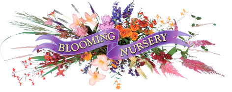 Blooming Nursery, Inc.